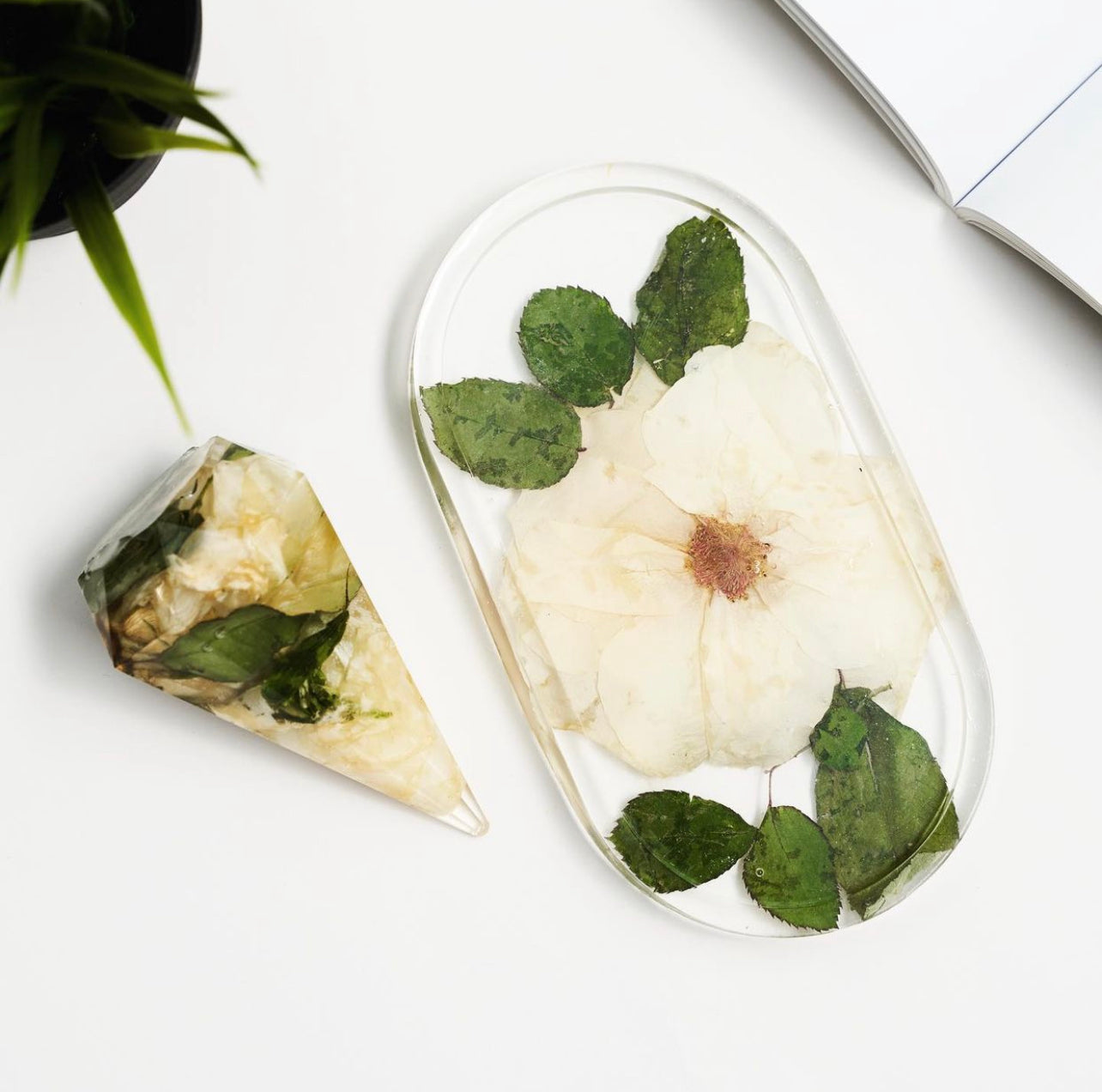 Flower Preservation | Oval Tray Medium
