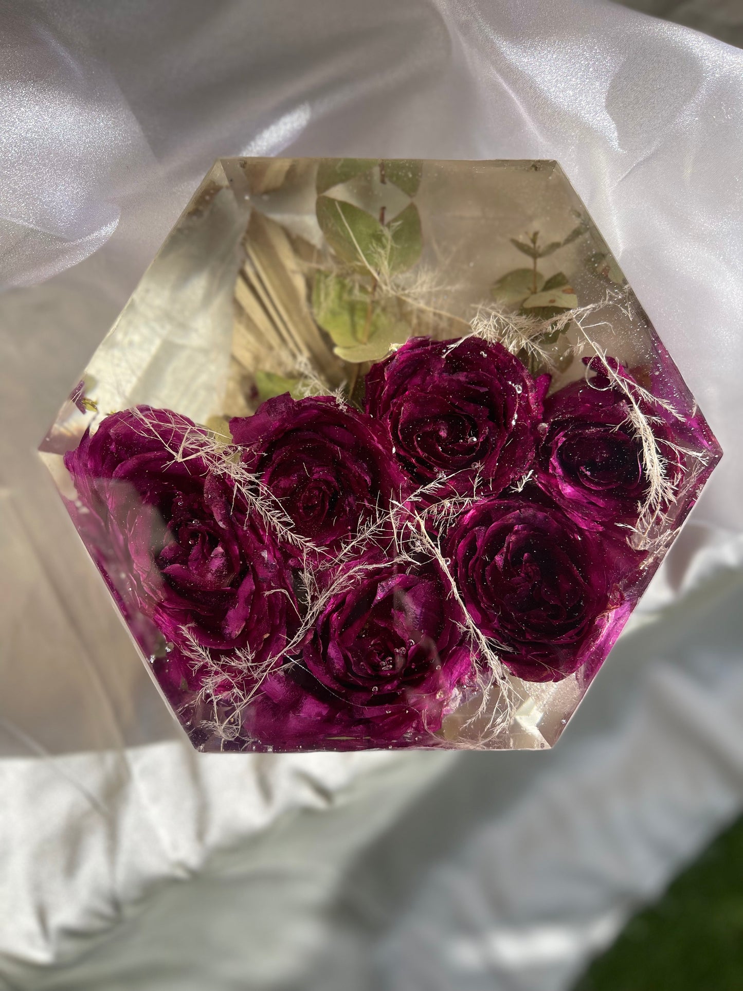 Flower Preservation | Hexagon